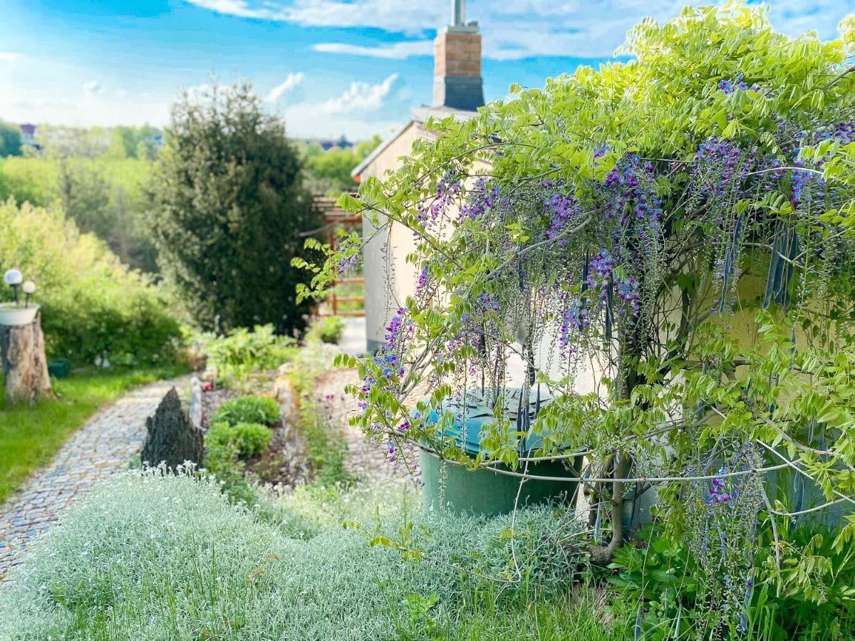 Villa Weinquartier Kalter Huegel Naumburg  Esterno foto